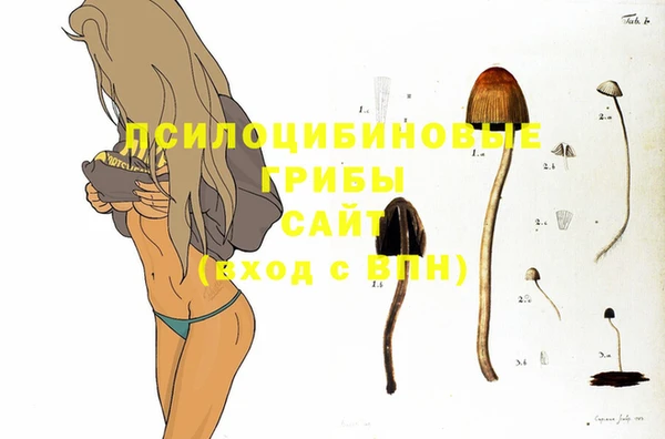 твердый Алексеевка
