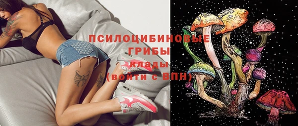 твердый Алексеевка