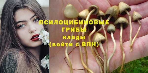 амфетамин Алексин