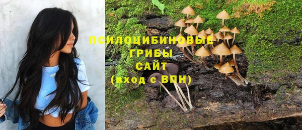 амфетамин Алексин