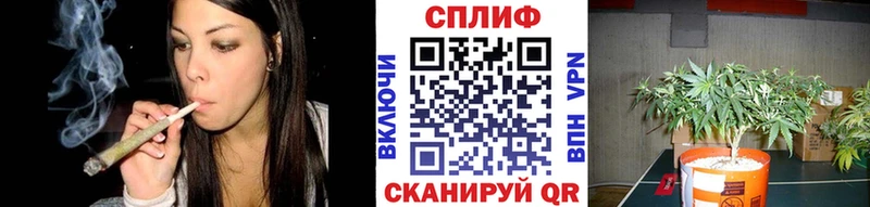 Каннабис ГИДРОПОН  Купить где  Собинка 